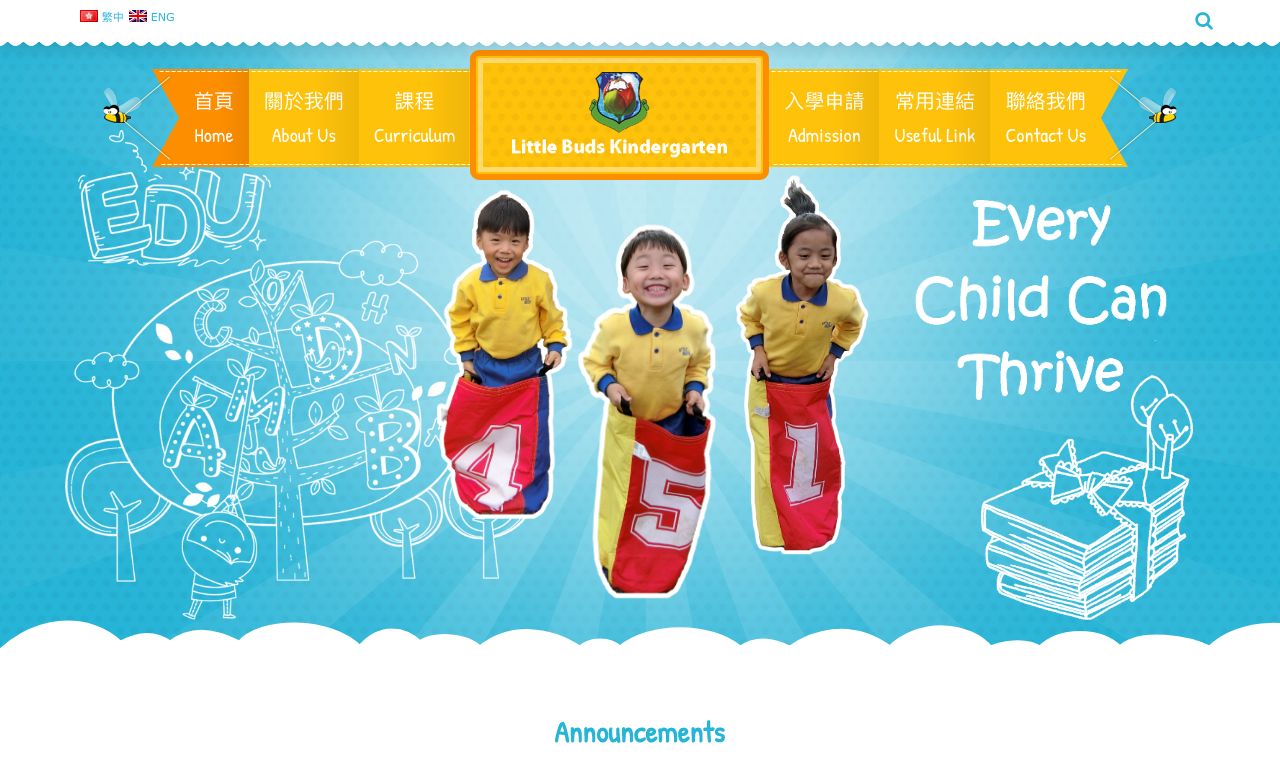 Screenshot of the Home Page of LITTLE BUDS KINDERGARTEN